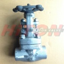 20 Alloy Socket Gate Valve