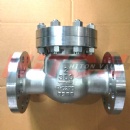 Hastelloy C276 Check Valve