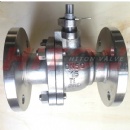 Titanium PN16 Flanged Ball Valve