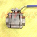 Hastelloy F2 Forged Threaded Ball Valve